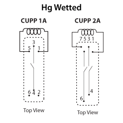 CUPP schematic